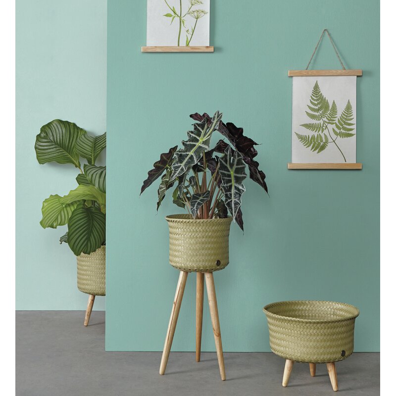 UP High Woven Plant Holder in Mustard