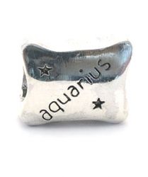 Redbalifrog Aquarius Bead