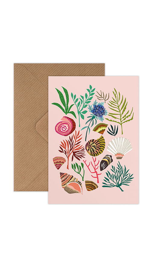 Brie Harrison Shells and Seaweed Greetings Card