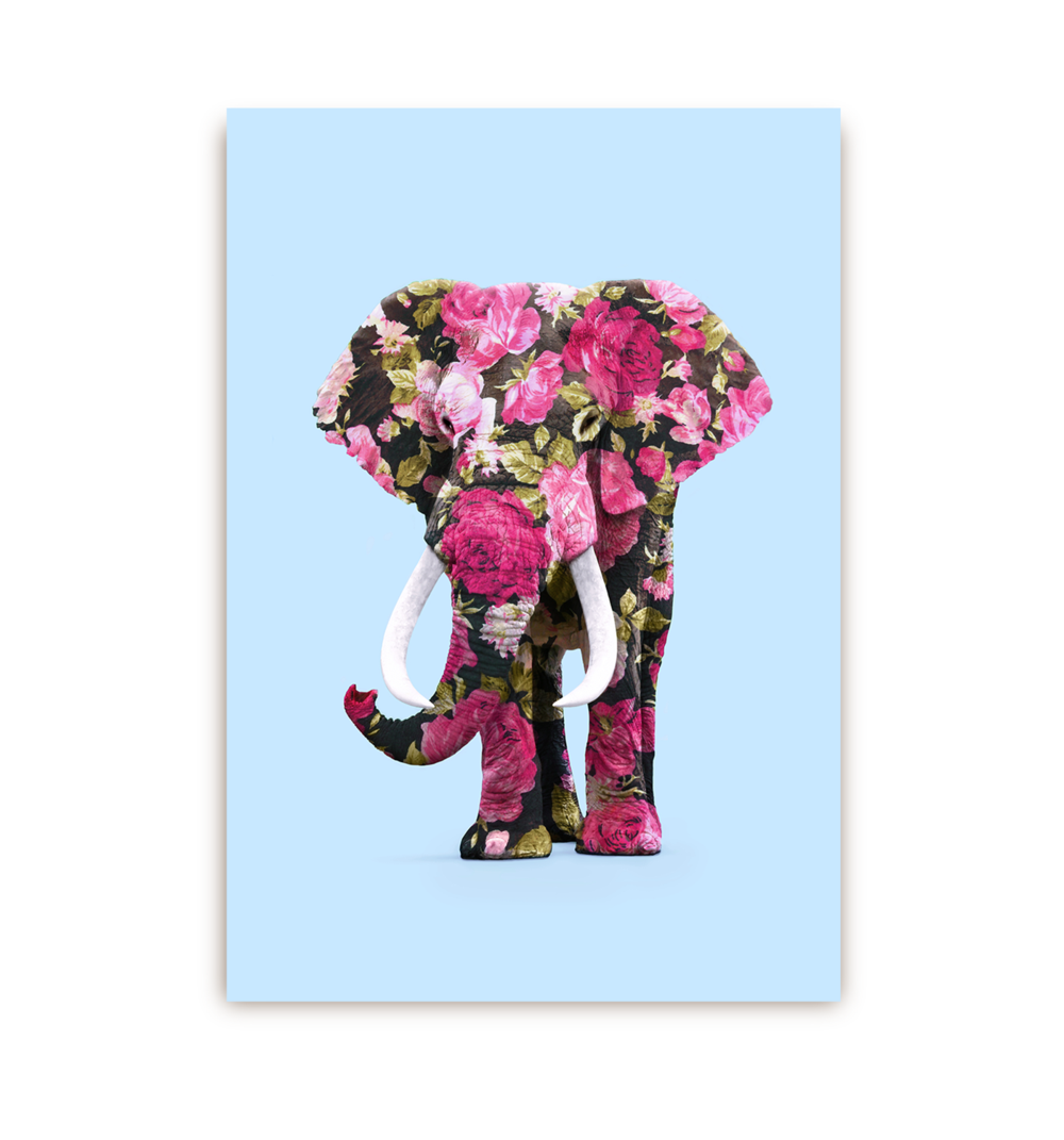Lagom Floral Elephant Postcard