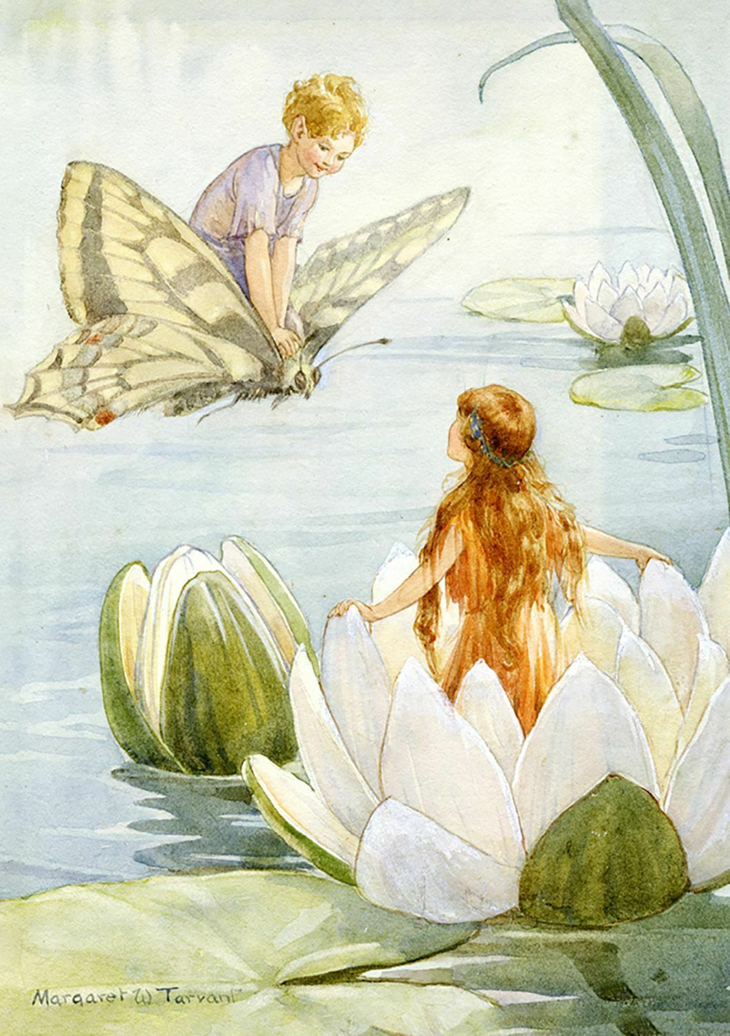 Fairyland Lilypad Greetings Card.