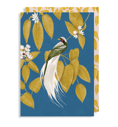 Anna Glover Bird of Paradise Card
